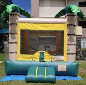Casa de Brinco inflable 2 Palmas