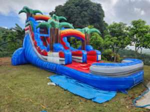 Chorrera de Inflable Agua La Bori