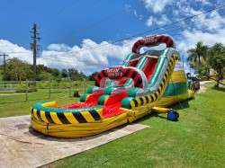 8eb71ce2 60c5 49f5 ac38 b4eadcbc5d28 1772759240 Chorrera de Agua Inflable Doble Carril UJ