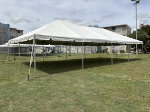 Carpa 20x40